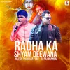 About Radha Ka Shyam Deewana Song