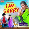 About Jaan Meri I Am Sorry Song