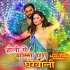 About Holi Mein Saali Pura Gharwali Song