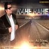 About Rahe Rahe Song