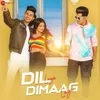 About Dil Laya Dimaag Laya Song