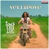 Vellipove