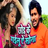 About Chhod Ke Gailu Ae Sona Song