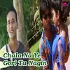 About Chala Na Ye Gori Tu Nagin Song