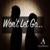 About Won't let go Song