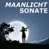 Maanlichtsonate (Pianosonate nr. 14) gitaarsensemble