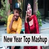 About New Year Top Mashup Song