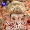 505-Shree Ganesh 1