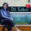 About Dil Todkar Song