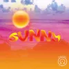 About Sunny Song