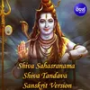 Shiva Sahasranama  Shiva Tandaba 4