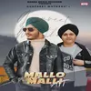 About Mallo Malli Att Song