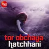 About Tor Abchaya Hatchhani Song