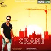 Crane