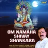 Om Namaha Shivay Shankara
