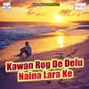 Kawan Rog De Delu Naina Lara Ke