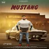 About Mustang Song