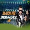 About Maidane Sher Gajjde Ne Song