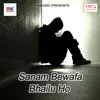 Sanam Bewafa Bhailu Ho