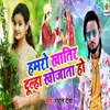 About Hamro Khatir Dulha Khojta Song