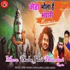 About Mera Bhola Hai Bhandari - Remix Song