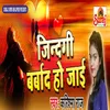 About Jindagi Barbad Ho Jai Song