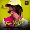 About Feel Of Love Song