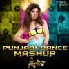 About Punjabi Dance Mashup Song