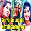 About Galiya Ke Jagaha Katale Samanwa Song