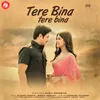 About Tere Bina Tere Bina Song