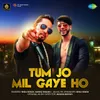 About Tum Jo Mil Gaye Ho Song