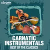 Swagatham Krishna - Instrumental