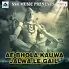 Ae Bhola Kauwa Jalwa Le Gail