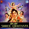 About Joy Joy Shree Chaitanya Song