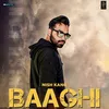 About Baagi Song