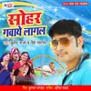 About Sohar Gawaye Lagal Song