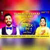 About Tu Mere Jeevan Ki Roti Hai Remix Song
