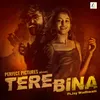 About Tere Bina Song