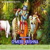 About O Mere Krishna Song