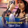 About Surmayee Nain Tere Song