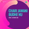 Budha Nu Charhi Jawani