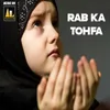 About Rab Ka Tohafa Song