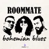 About Roommate Song