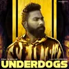 About Underdogs Song