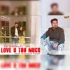 About Love You Too Much Song