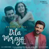 About Dila Mereya Song