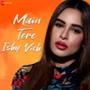 About Main Tera Ishq Vich Song