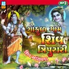 Gokul Game Shiv Tripurari Shiv Bhajan