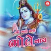 About Tame Bhave Bhajo Bholenath Song