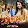 Pathar Dil Sanam